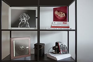 dog photography | eric cathell photography